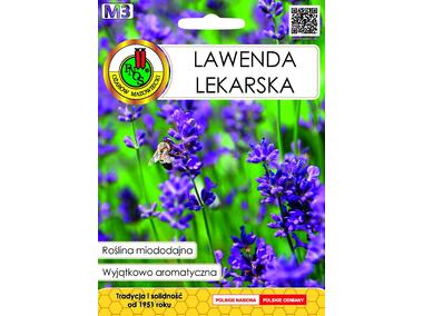 Zdjęcie: Lawenda lekarska 0,2 g PNOS