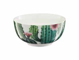 Salatrka Cactus 13 cm AMBITION