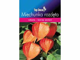 Miechunka rozdęta TOP DECOR