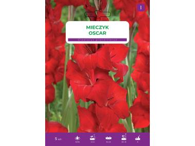 Zdjęcie: Mieczyk Red LEGUTKO