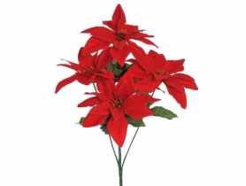 Gwiazda betlejemska bukiet 5 kwiatów JUMI