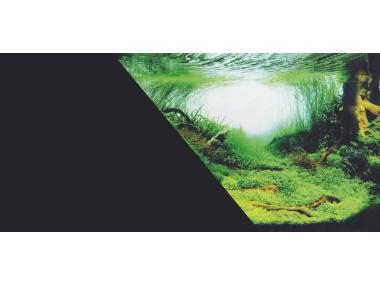 Zdjęcie: Tło do akwarium dwustronne 60x40 cm Amazonka czarne ZOLUX