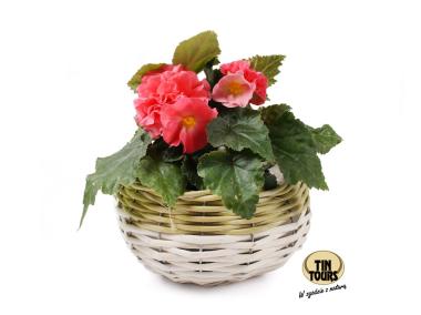 Zdjęcie: Koszyk do obsadzania 16x16x11 cm TIN TOURS