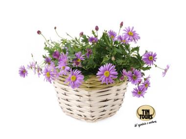 Zdjęcie: Osłonka wiklinowa 14x14x10 cm kwadratowa TIN TOURS