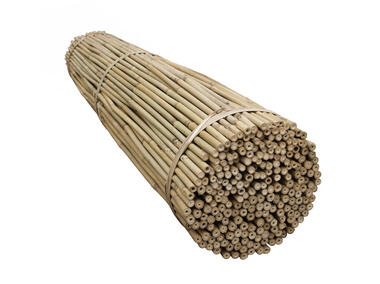 Zdjęcie: Tyczka bambusowa 12-14 mm - 120 cm TIN-TOURS