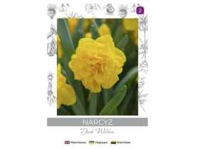 Narcyz Dick Wilden żółty 3 sztuki W.LEGUTKO