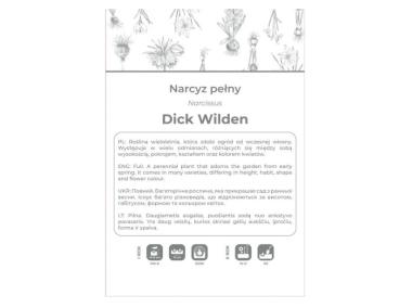 Zdjęcie: Narcyz Dick Wilden żółty 3 sztuki W.LEGUTKO