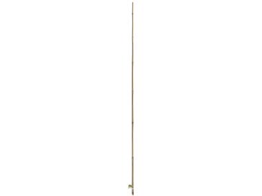Zdjęcie: Tyczka bambusowa naturalna Bamboo fi6-8 mm x 0,6 m, naturalny NORTENE