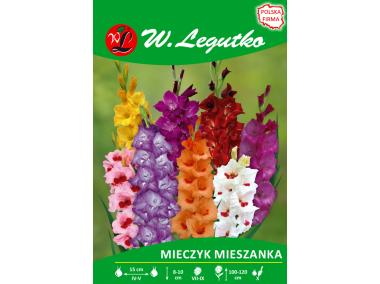 Zdjęcie: Mieczyk mieszanka seria tradycyjna W.LEGUTKO