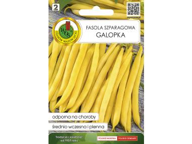 Zdjęcie: Fasola szparagowa żółta Karłowa Galopka 20 g PNOS