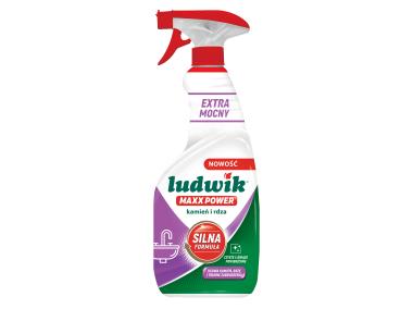 Zdjęcie: Płyn do czyszczenia kamienia i rdzy Maxx Power 600 ml LUDWIK