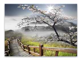 Obraz Decopanel 60x90 cm Dp012 Sakura STYLER