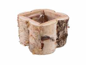 Skrzynka z brzozy z folią 19x19x13 cm kwadratowa TIN TOURS