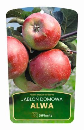 zdjęcie produktu