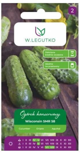 zdjęcie produktu