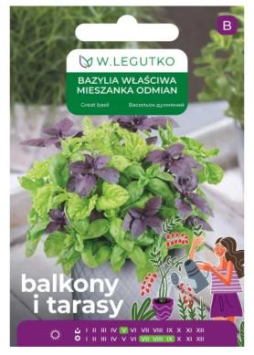 zdjęcie produktu