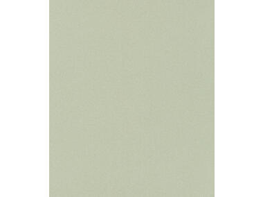 Zdjęcie: Wykładzina pvc Voyager 3 m - 608-01 LENTEX