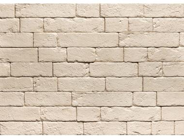 Zdjęcie: Płytki cegłopodobne Brickal 1 z fugą STEGU