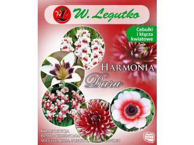 Zdjęcie: Kompozycja biało-czerwona Harmonia Barw Wiosna W.LEGUTKO