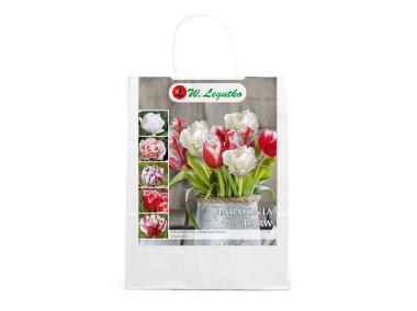 Zdjęcie: Kompozycja czerwono-biała W.LEGUTKO