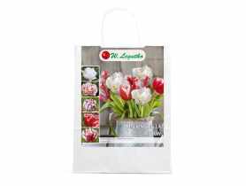 Kompozycja czerwono-biała W.LEGUTKO