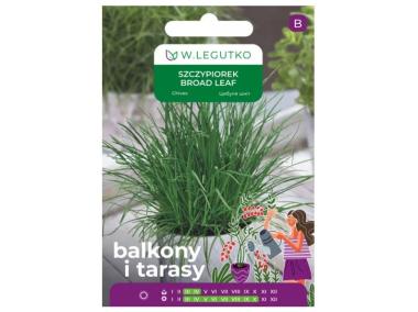 Zdjęcie: Szczypiorek Broad leaf 2 g na balkon i taras W.LEGUTKO