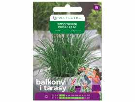 Szczypiorek Broad leaf 2 g na balkon i taras W.LEGUTKO