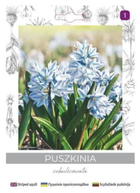 zdjęcie produktu