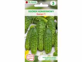 Ogórek gruntowy konserwowy Śremski F1 nasiona tradycyjne 3 g W. LEGUTKO
