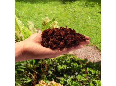 Zdjęcie: Czipsy kokosowe COCO chips 5L BIOVITA