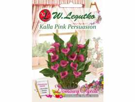 Kalla Pink Persuasion różowa W.LEGUTKO