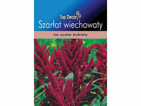 Szarłat wiechowaty TOP DECOR