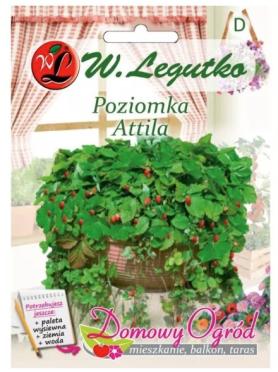 zdjęcie produktu