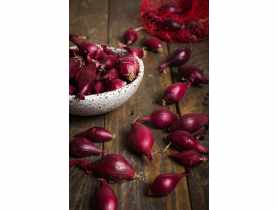 Cebula dymka Red Baron czerwona 250 g LEGUTKO