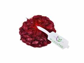 Cebula dymka Red Baron czerwona 250 g LEGUTKO
