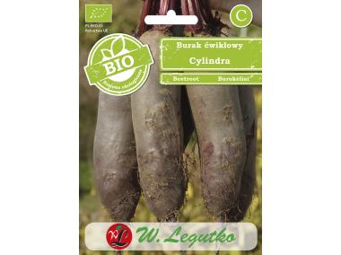 Zdjęcie: Burak ćwikłowy Cylindra W.LEGUTKO