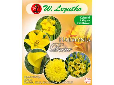 Zdjęcie: Kompozycja żółta Harmonia Barw Wiosna W.LEGUTKO