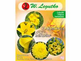 Kompozycja żółta Harmonia Barw Wiosna W.LEGUTKO