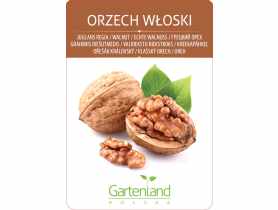 Orzech włoski GARTENLAND