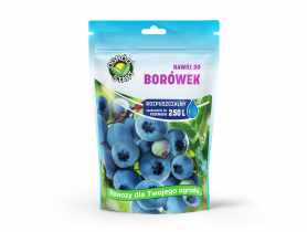 Nawóz do borówki 250 g OGRÓD START