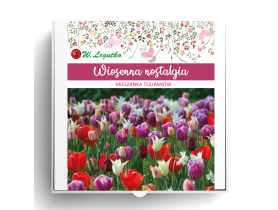 Kompozycja cebul kwiatowych Wiosenna nostalgia W.LEGUTKO