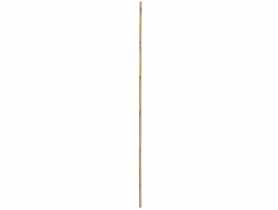 Tyczka bambusowa 180 cm, średnica 24-26 mm RN DYSTRYBUCJA