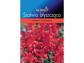 Szałwia błyszcząca TOP DECOR