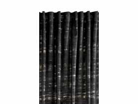 Zasłona andrean czarno-złota 135x280 cm CHIC HOME