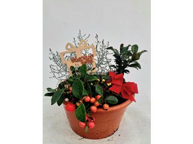 Zdjęcie: Misa dekoracyjna świąteczna 20 cm ŁAZUCCY