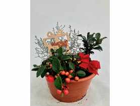 Misa dekoracyjna świąteczna 20 cm ŁAZUCCY