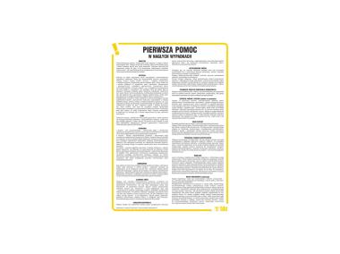 Zdjęcie: Oznaczenie "Instrukcja Pierwsza pomoc w nagłych wypadkach" 24,5x35 cm METRO