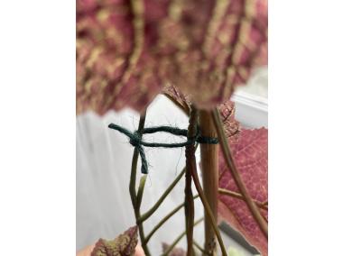 Zdjęcie: Sznurek z włókna naturalnego Jute 50 m, zielony NORTENE