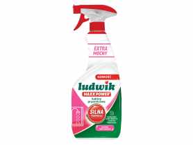 Płyn do mycia kabin prysznicowych Maxx Power 600 ml LUDWIK