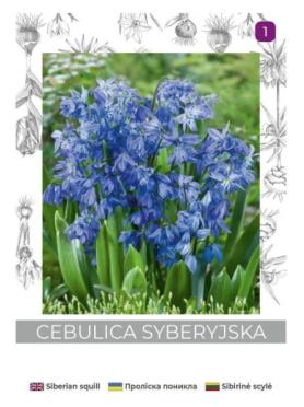 zdjęcie produktu